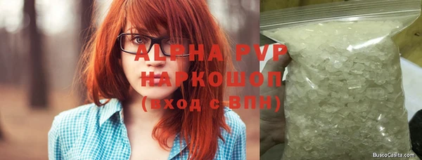 СК Зерноград