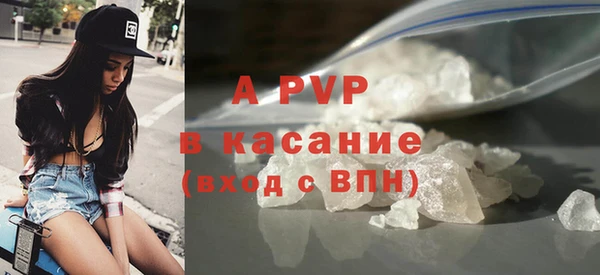 СК Зерноград