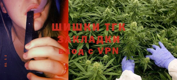 СК Зерноград