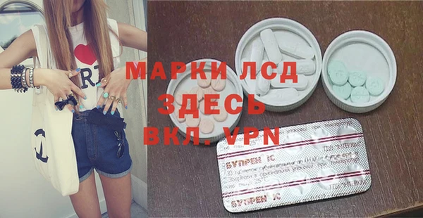 СК Зерноград
