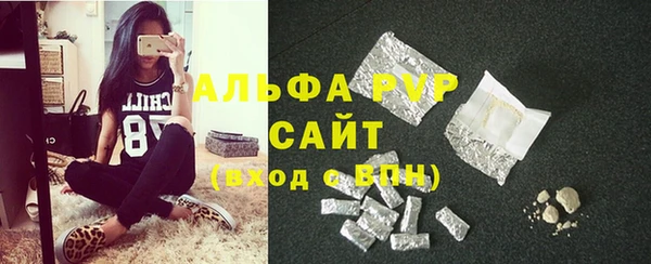 СК Зерноград