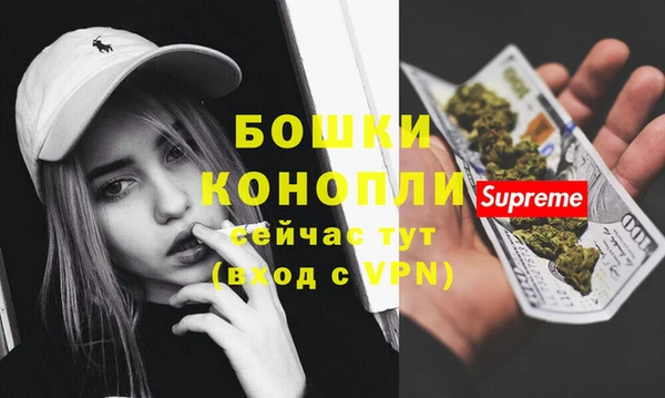 СК Зерноград
