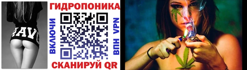 darknet наркотические препараты  Инта  Канабис Ganja 
